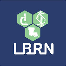 Logo for the Louisiana Biomedical Research Network.